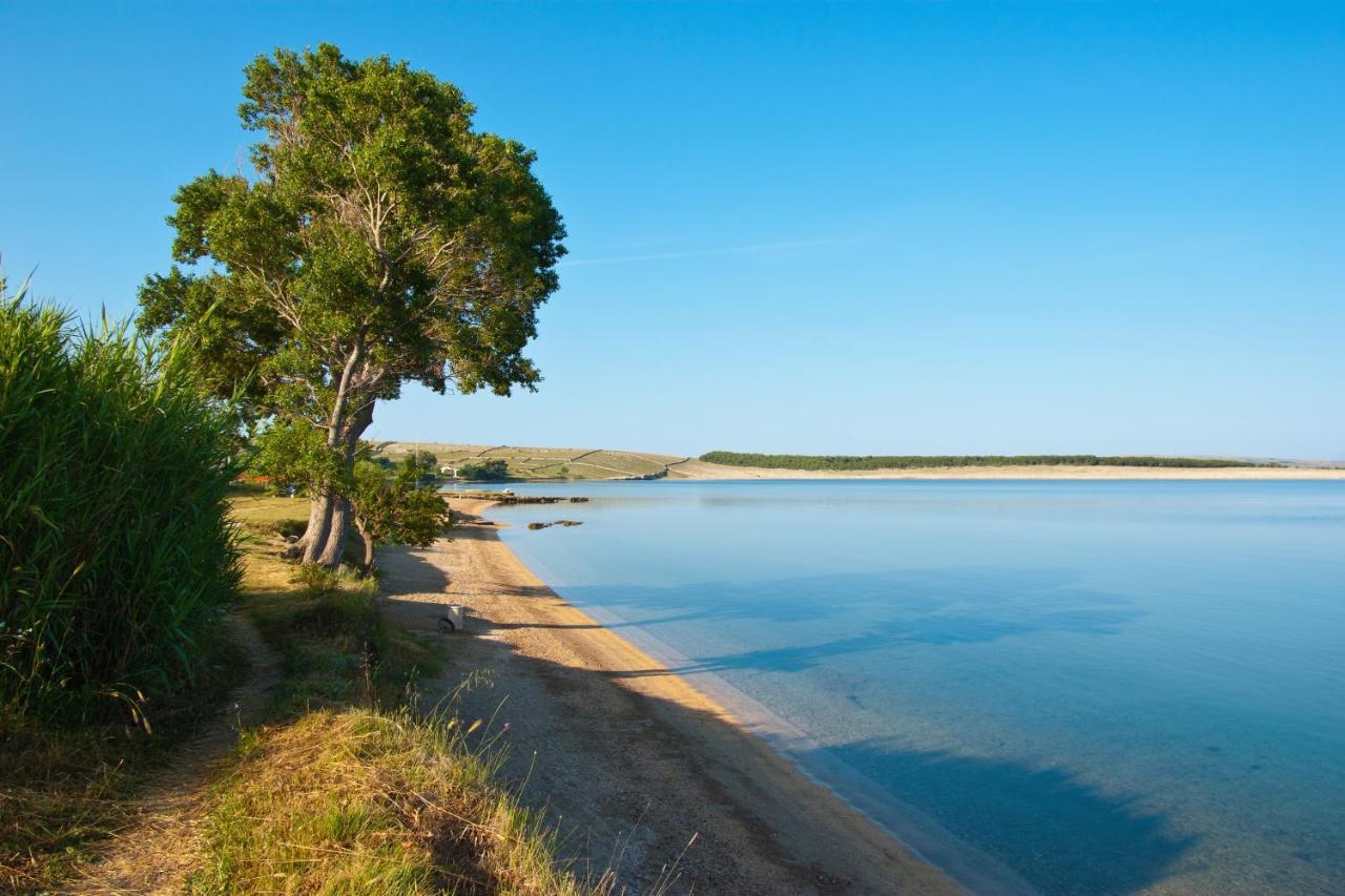 Family Friendly Apartments With A Swimming Pool Povljana, Pag - 244 Zewnętrze zdjęcie